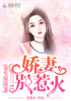 别惹火小说
