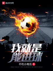 我就是能进球小说全本免费阅读